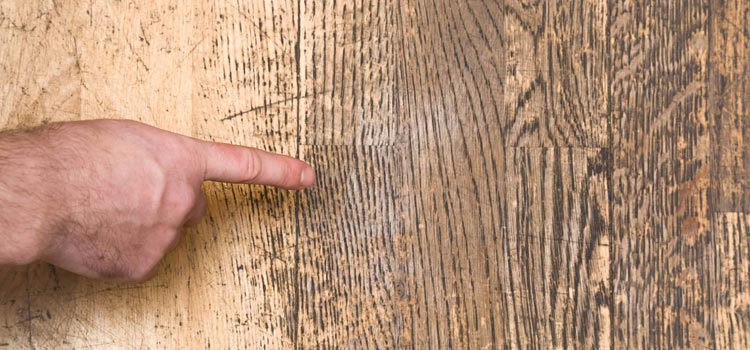 Wood Door Scratch Repair in Norwalk